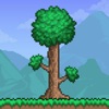 down Terraria apk download