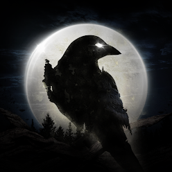 NIGHT CROWS NIGHT CROWS International service download