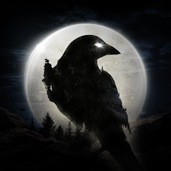 down NIGHT CROWS