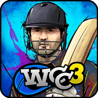 down World Cricket Championship 3 Mod Apk