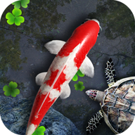 down Water Garden Live Wallpaper Mod Apk