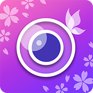 down YouCam Perfect apk