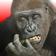 down Flying Gorilla Mod Apk