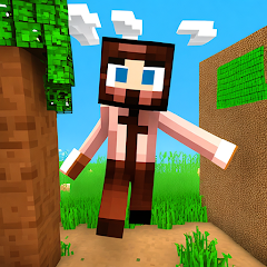 down Dream World Mod Apk