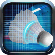 down Real Badminton World Lengend Champion