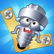 down Take Off Bolts Screw Puzzle
