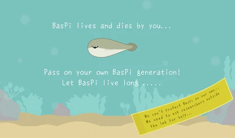 13.png