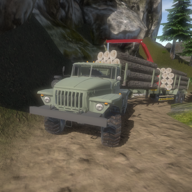down Truck Driver Forest Simulator game