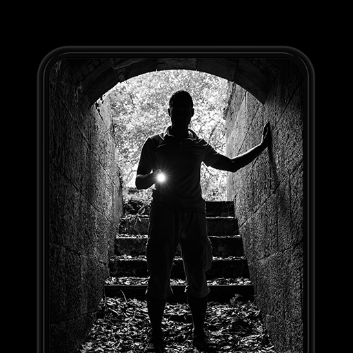 down Peek a Phone - Detective Game