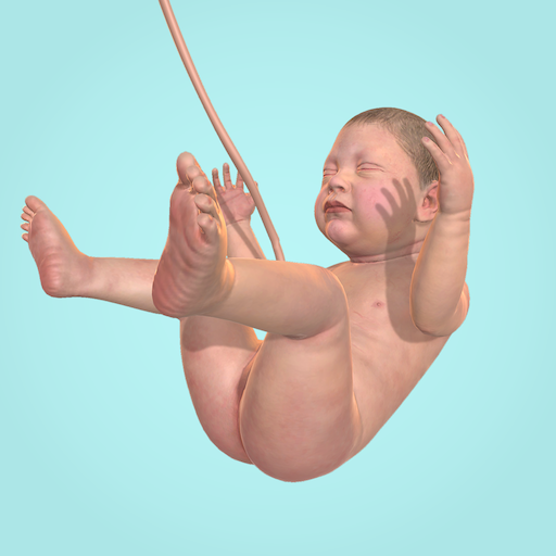 down Idle 9 Months Mod apk