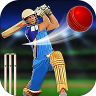 down Cricket World Champions Mod Apk