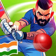 down Cricket King Mod Apk