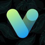 down Vera Icon Pack mod apk