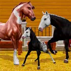 down Star Equestrian Horse Ranch Mod Apk