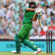 down Real World T20 Cricket Mod Apk