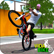 down VIDA DE BIKE BRASIL Mod Apk