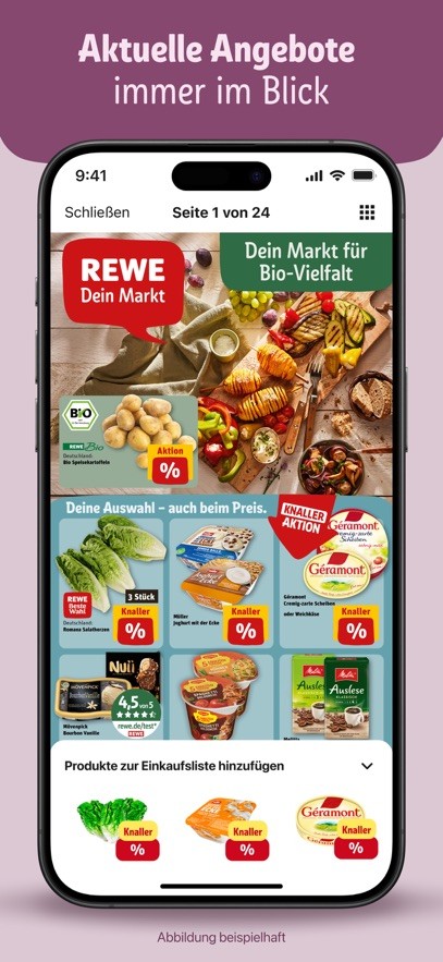 497x883bb(5).jpg