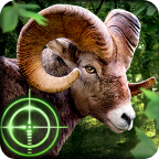 down Wild Hunter 3D Mod Apk